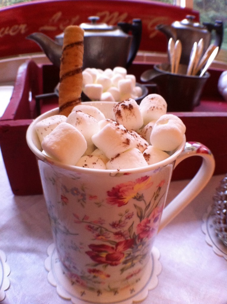 Hot Chocolate with Marhsmallows